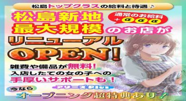 松島新地 最大規模のお店が リニューアルOPEN！ 松島トップクラスの給料と待遇日給5万円以上！松島新地の求人です。♪